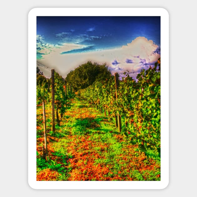 autumn vineyard Sticker by Hujer
